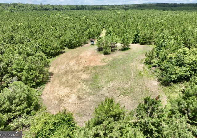 1st image of 0 Everett Wood Road, Ideal, GA 31041 | MLS# 10808841