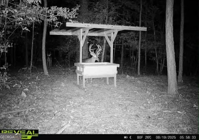 2nd image of 0 Everett Wood Road, Ideal, GA 31041 | MLS# 10808841