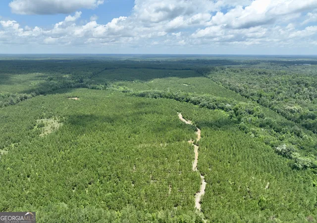 3rd image of 0 Everett Wood Road, Ideal, GA 31041 | MLS# 10808841