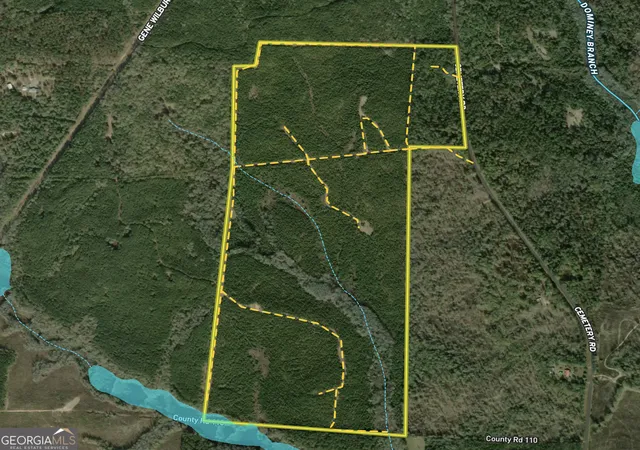 5th image of 0 Everett Wood Road, Ideal, GA 31041 | MLS# 10808841