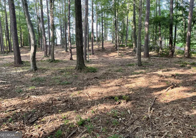 1st image of 0 Winterberry Lane, Rome, GA 30161 | MLS# 10785664
