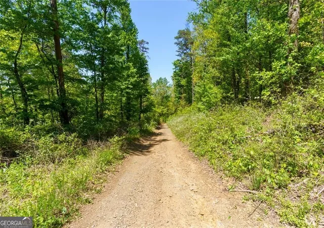 Photo 1 of Land for sale at 0 Fire Tower Rd #LOT 7, Jasper, GA 30143 | MLS# 10739674 | Listing updated on 2026-09-13