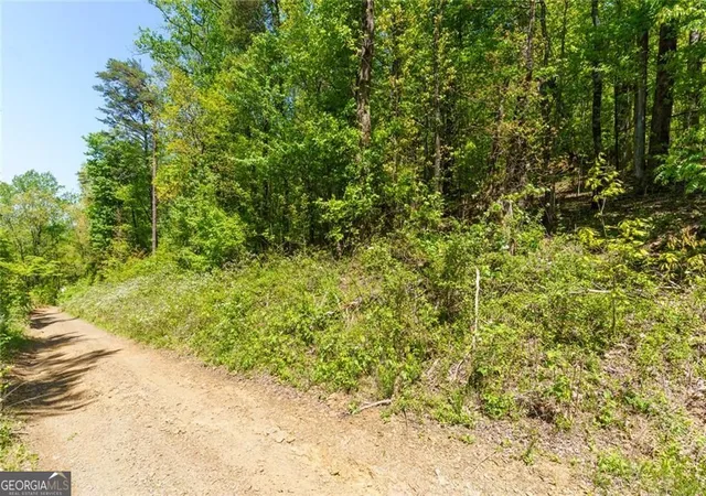 Photo 2 of Land for sale at 0 Fire Tower Rd #LOT 7, Jasper, GA 30143 | MLS# 10739674 | Listing updated on 2026-09-13