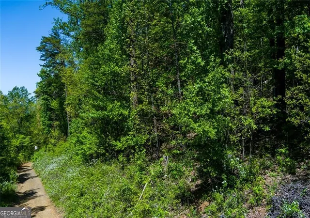 Photo 3 of Land for sale at 0 Fire Tower Rd #LOT 7, Jasper, GA 30143 | MLS# 10739674 | Listing updated on 2026-09-13