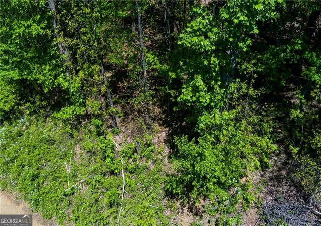 Photo 4 of Land for sale at 0 Fire Tower Rd #LOT 7, Jasper, GA 30143 | MLS# 10739674 | Listing updated on 2026-09-13