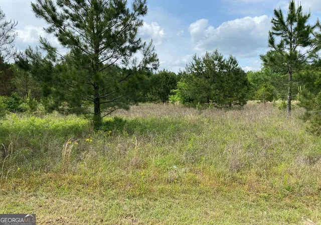 2nd image of 1001 B Holiday Road, Dublin, GA 31021 | MLS# 10795148