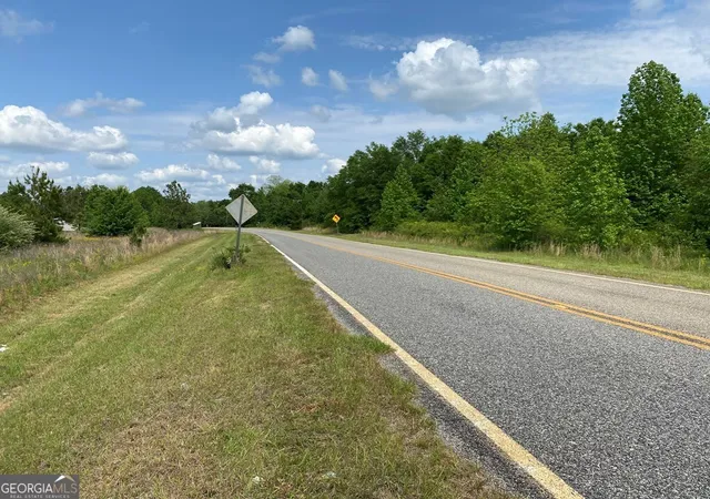 4th image of 1001 B Holiday Road, Dublin, GA 31021 | MLS# 10795148