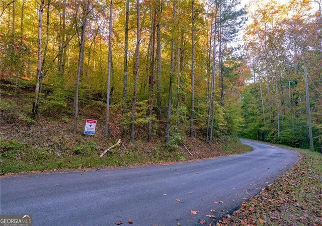Homes for sale in Ranger, GA | 507 Marque Ln Ne, Ranger, GA 30734 | MLS# 10796349