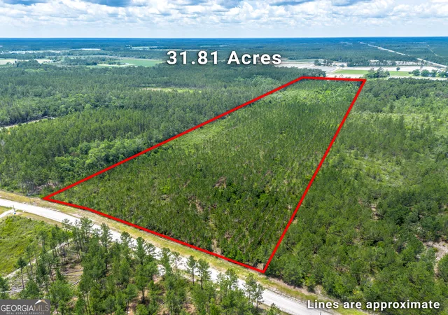 Homes for sale in Manor, GA | Lot 120 S Farms Edge Rd, Manor, GA 31550 | MLS# 10786515