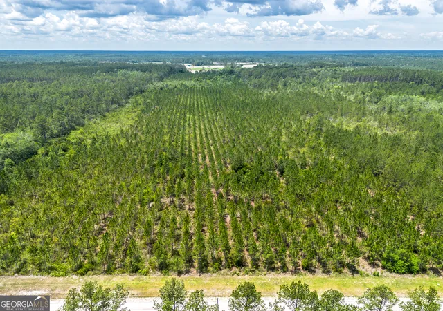Homes for sale in Manor, GA | Lot 120 S Farms Edge Rd, Manor, GA 31550 | MLS# 10786515