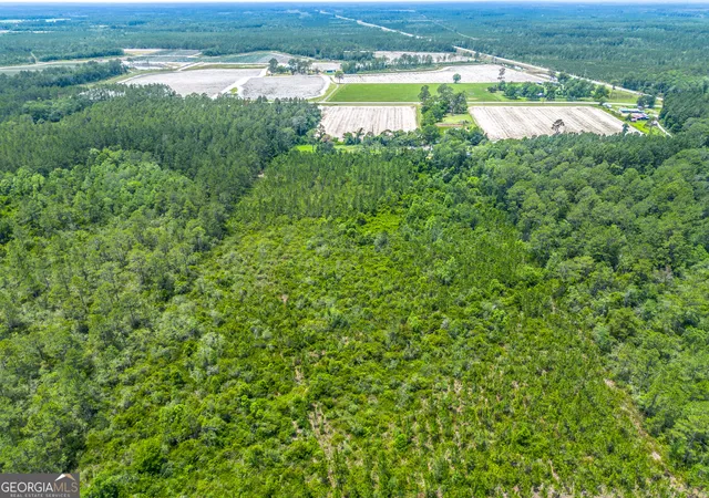 Homes for sale in Manor, GA | Lot 120 S Farms Edge Rd, Manor, GA 31550 | MLS# 10786515