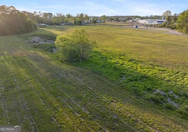5th image of 0 Anthony St, Baxley, GA 31513 | MLS# 10726093