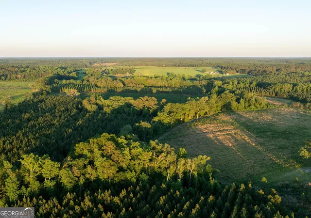 1st image of 004 Beulah Road Tract 4, Sylvania, GA 30467 | MLS# 10782622