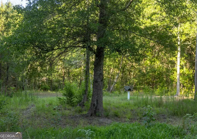 3rd image of 004 Beulah Road Tract 4, Sylvania, GA 30467 | MLS# 10782622