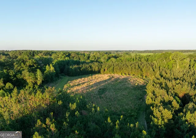 4th image of 004 Beulah Road Tract 4, Sylvania, GA 30467 | MLS# 10782622
