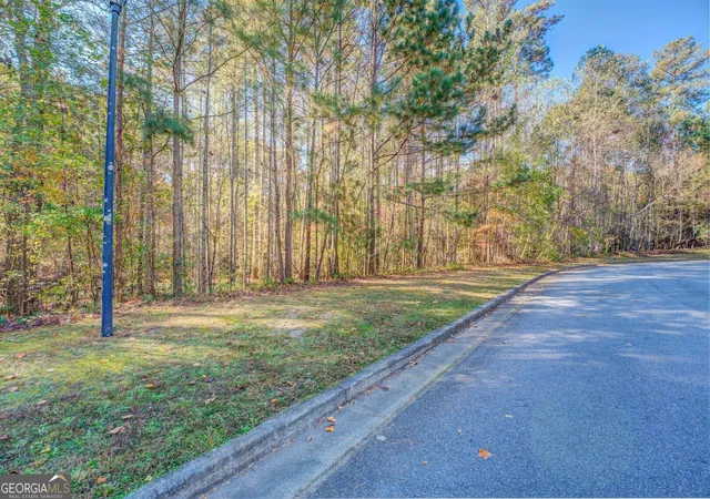 14th image of 1461 River Station Dr, Lawrenceville, GA 30045 | MLS# 10796303