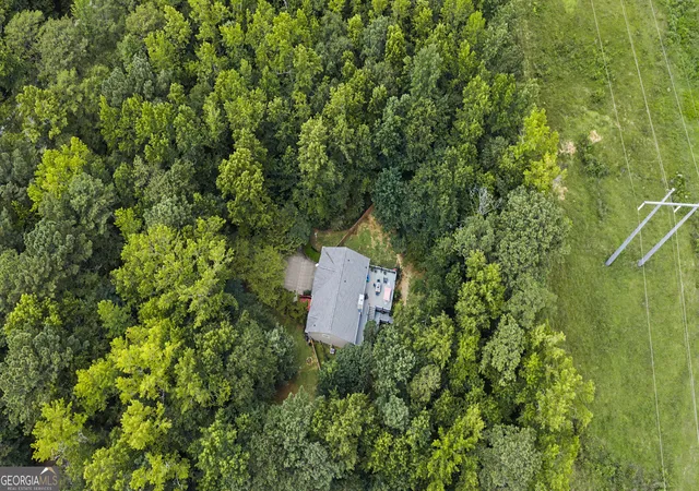 41st image of 1049 Millard Farmer Rd, Newnan, GA 30263 | MLS# 10818515