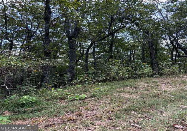 Photo 1 of Land for sale at 0 Little Hendricks Mountain, Jasper, GA 30143 | MLS# 10689490 | Listing updated on 2026-08-06