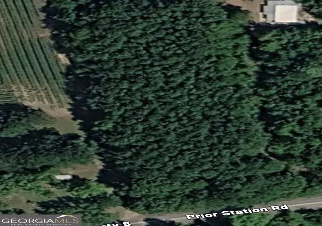 Homes for sale in Cedartown, GA | Tbd Prior Station Rd, Cedartown, GA 30125 | MLS# 10800890