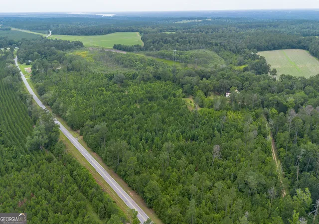 3rd image of 276 Mclauglin Rd, Bainbridge, GA 39819 | MLS# 10809670