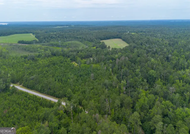 5th image of 276 Mclauglin Rd, Bainbridge, GA 39819 | MLS# 10809670