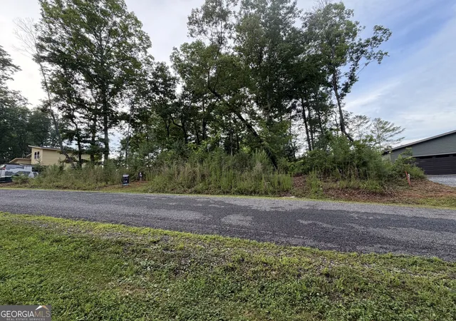 Homes for sale in Ellijay, GA | 0 Faith Ct #LOT 79, Ellijay, GA 30540 | MLS# 10761335
