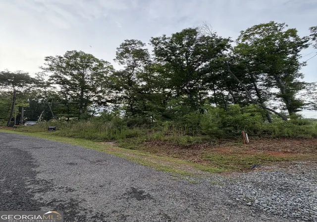 Homes for sale in Ellijay, GA | 0 Faith Ct #LOT 79, Ellijay, GA 30540 | MLS# 10761335