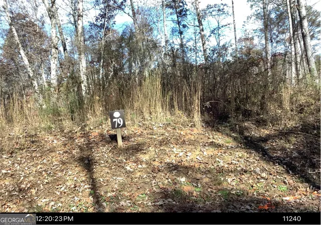 Homes for sale in Ellijay, GA | 0 Faith Ct #LOT 79, Ellijay, GA 30540 | MLS# 10761335