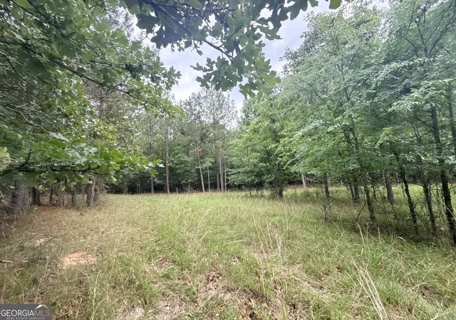 Homes for sale in Lexington, GA | 3 Bethesda Church Rd, Lexington, GA 30648 | MLS# 10785527
