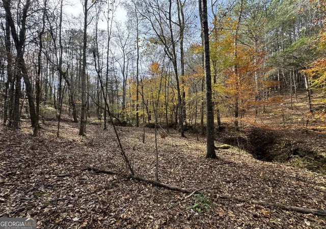 1st image of 0 Old Middleton Rd, Elberton, GA 30635 | MLS# 10651016