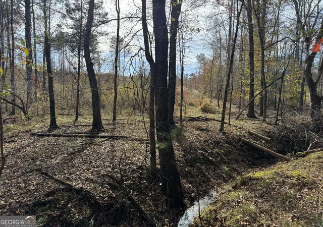 2nd image of 0 Old Middleton Rd, Elberton, GA 30635 | MLS# 10651016