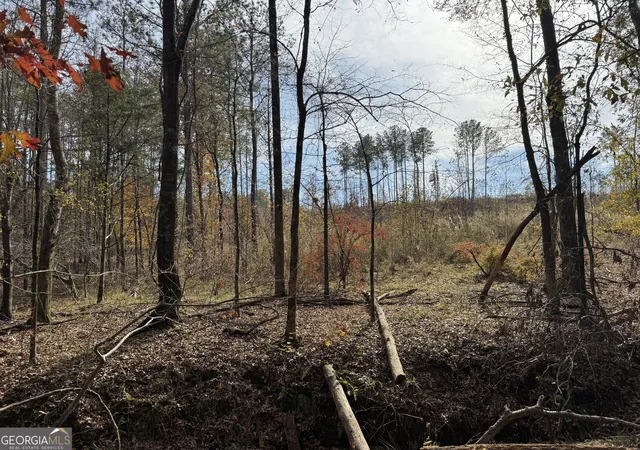 3rd image of 0 Old Middleton Rd, Elberton, GA 30635 | MLS# 10651016