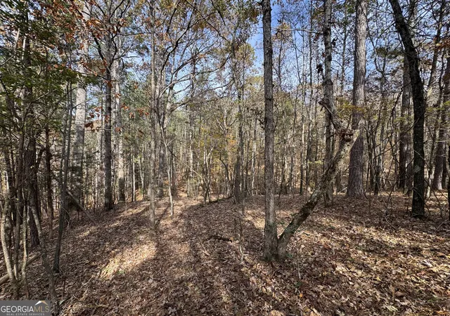 42nd image of 0 Old Middleton Rd, Elberton, GA 30635 | MLS# 10651016