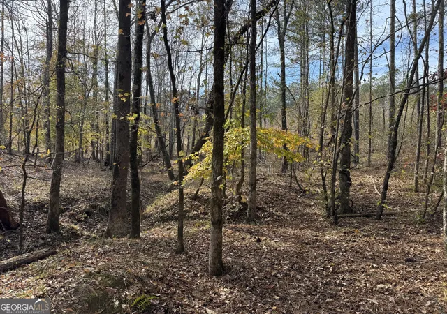 4th image of 0 Old Middleton Rd, Elberton, GA 30635 | MLS# 10651016