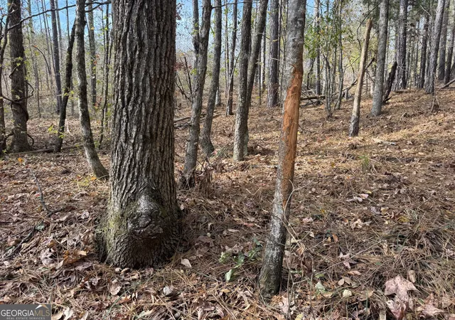 5th image of 0 Old Middleton Rd, Elberton, GA 30635 | MLS# 10651016
