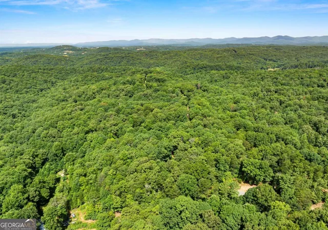 33rd image of 34 Somerset Pl, Dahlonega, GA 30533 | MLS# 10825913
