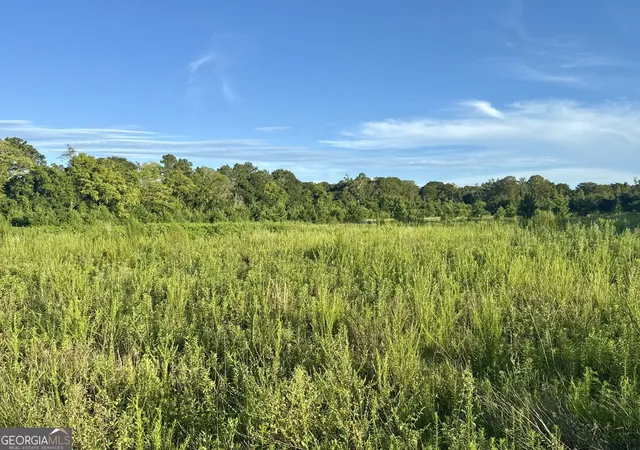 Photo 2 of Land for sale at 0 Hwy 62, Blakely, GA 39823 | MLS# 10823841 | Listing updated on 2026-08-25