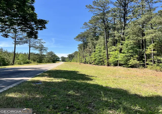 Homes for sale in Crawfordville, GA | 0 Lyneville Road, Crawfordville, GA 30631 | MLS# 10754442