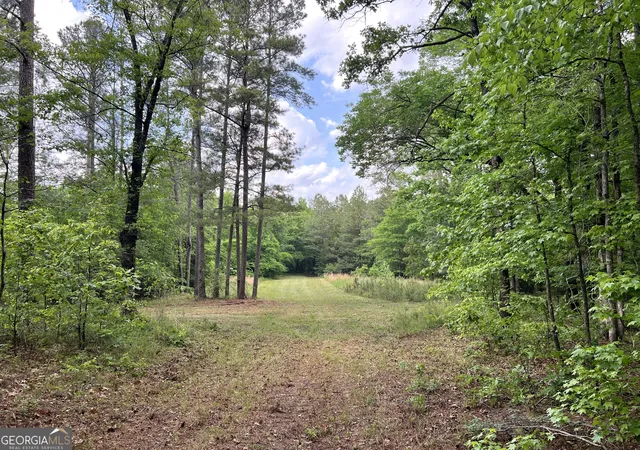 Homes for sale in Crawfordville, GA | 0 Lyneville Road, Crawfordville, GA 30631 | MLS# 10754442