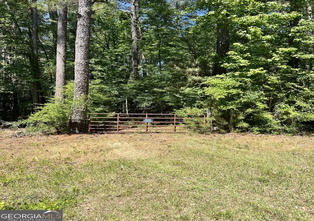 Homes for sale in Crawfordville, GA | 0 Lyneville Road, Crawfordville, GA 30631 | MLS# 10754442