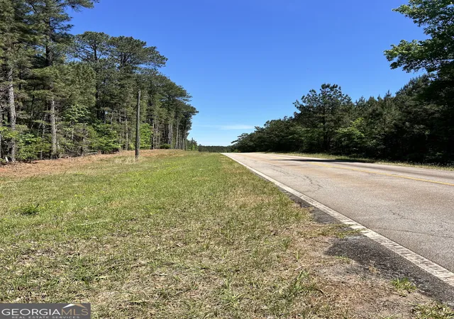 Homes for sale in Crawfordville, GA | 0 Lyneville Road, Crawfordville, GA 30631 | MLS# 10754442