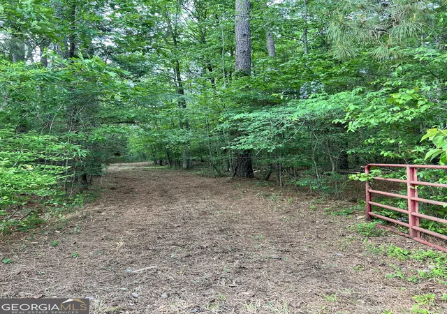 Homes for sale in Crawfordville, GA | 0 Lyneville Road, Crawfordville, GA 30631 | MLS# 10754442