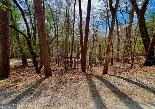 Photo 1 of Land for sale at 525 Camber Ct, Ellijay, GA 30540 | MLS# 10725444 | Listing updated on 2026-04-18