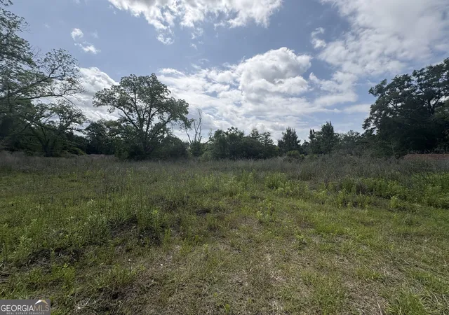 Homes for sale in Fitzgerald, GA | 0 East Road, Fitzgerald, GA 31750 | MLS# 10762468