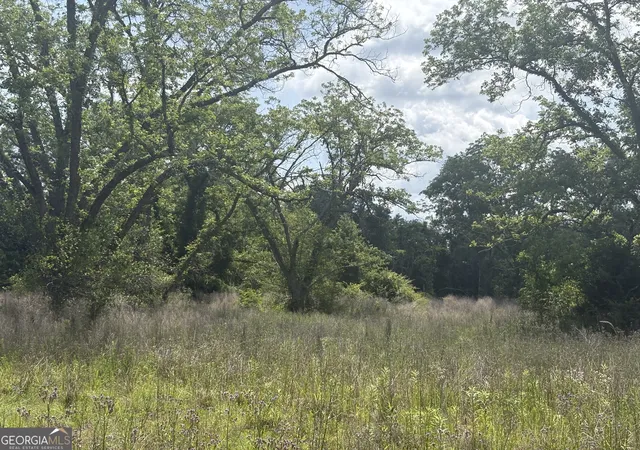 Photo 3 of Land for sale at 0 East Road, Fitzgerald, GA 31750 | MLS# 10762468 | Listing updated on 2026-09-19