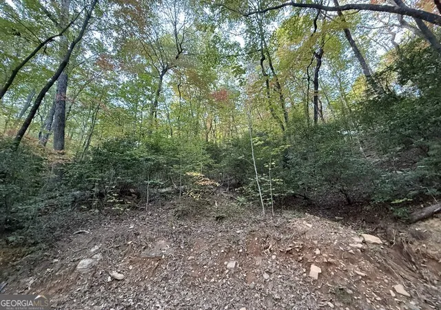 Photo 3 of Land for sale at 0 Wood Sorrel Ln #LOT 727/726, Clayton, GA 30525 | MLS# 10624771 | Listing updated on 2026-04-09