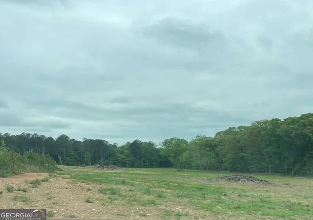 18th image of 0a Johnson Lake Rd #0A, Cedartown, GA 30125 | MLS# 10767109