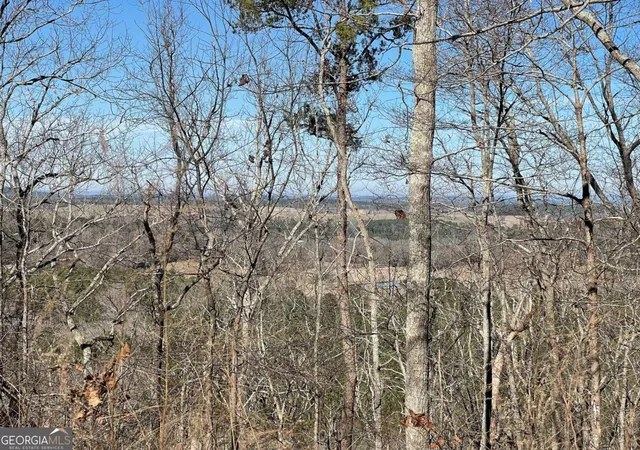 3rd image of 0a Johnson Lake Rd #0A, Cedartown, GA 30125 | MLS# 10767109