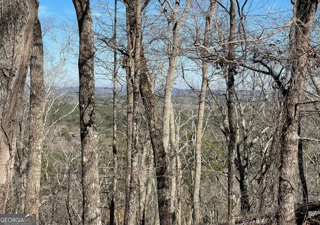 4th image of 0a Johnson Lake Rd #0A, Cedartown, GA 30125 | MLS# 10767109
