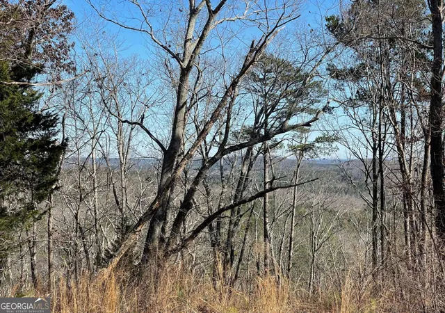 5th image of 0a Johnson Lake Rd #0A, Cedartown, GA 30125 | MLS# 10767109